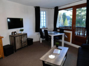 Résidence Chamois - Studio pour 4 Personnes MAE-9324